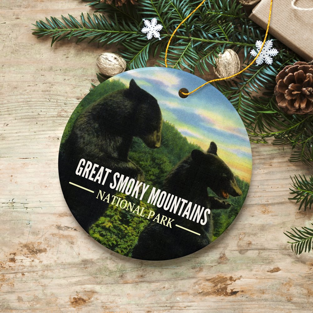 FORPRODUCTVintageGreatSmokyMountainsNationalParkOrnament3DRealisticWhiteOrnamentMockup-04.jpg
