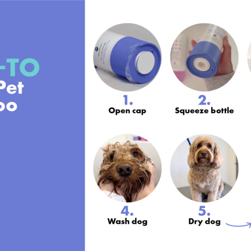 How to use DotDotPet Shampoos