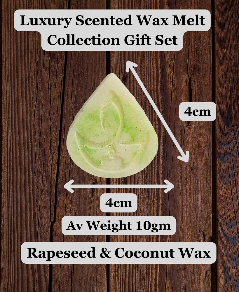 Luxury Scented Wax Melt Size 819x1000