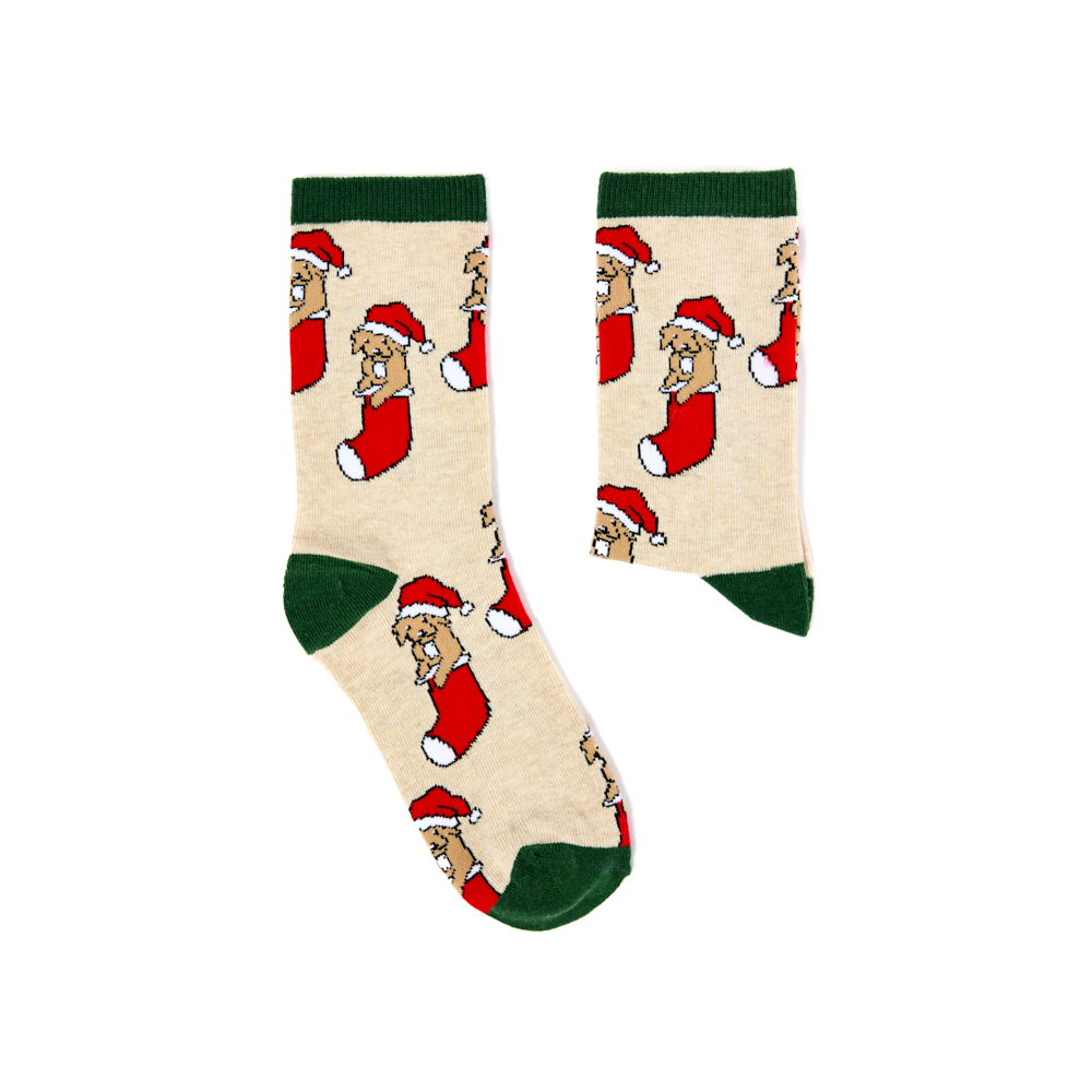 Dog Santa Sock