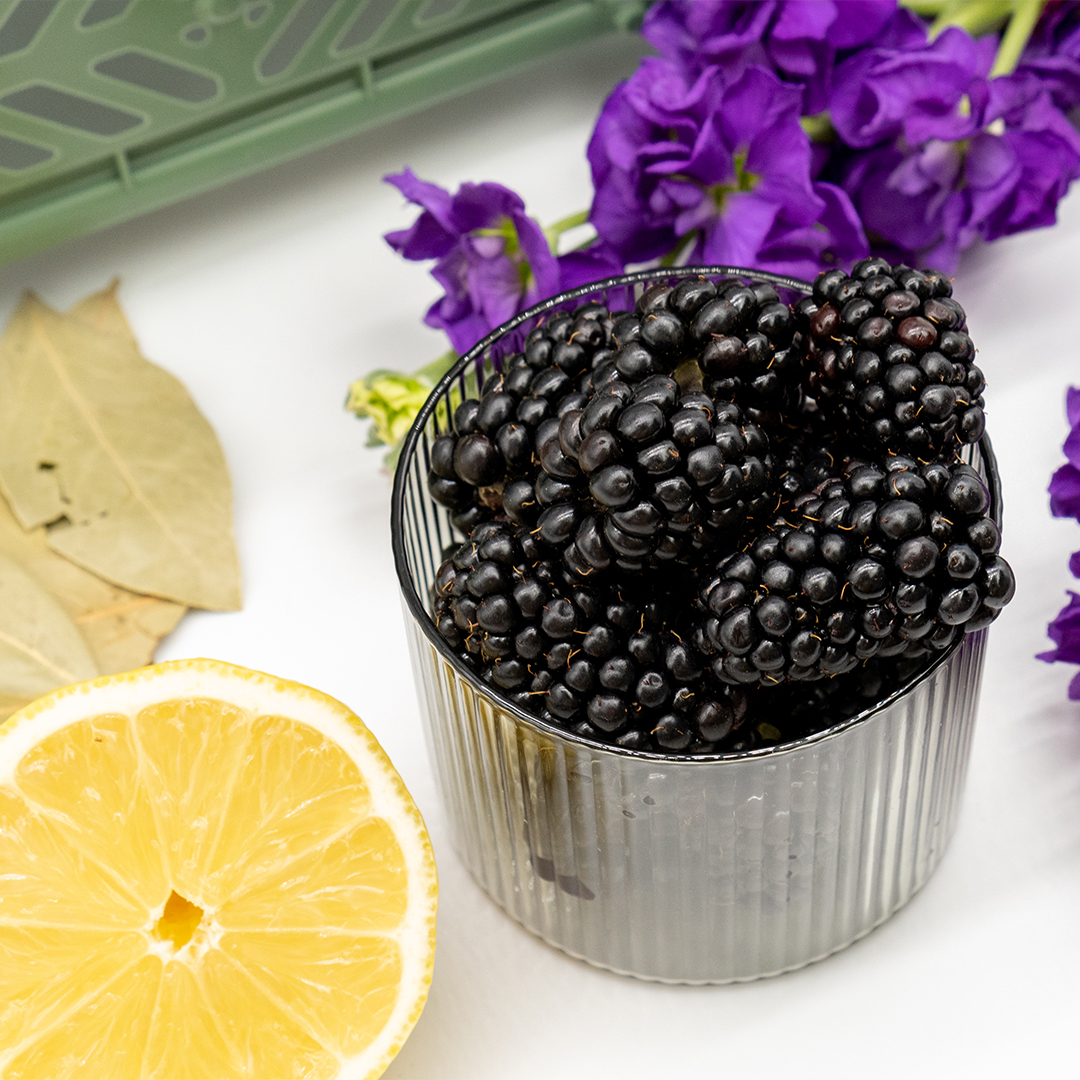 Olor Bay Tree + Blackberry Classic Candle (5)