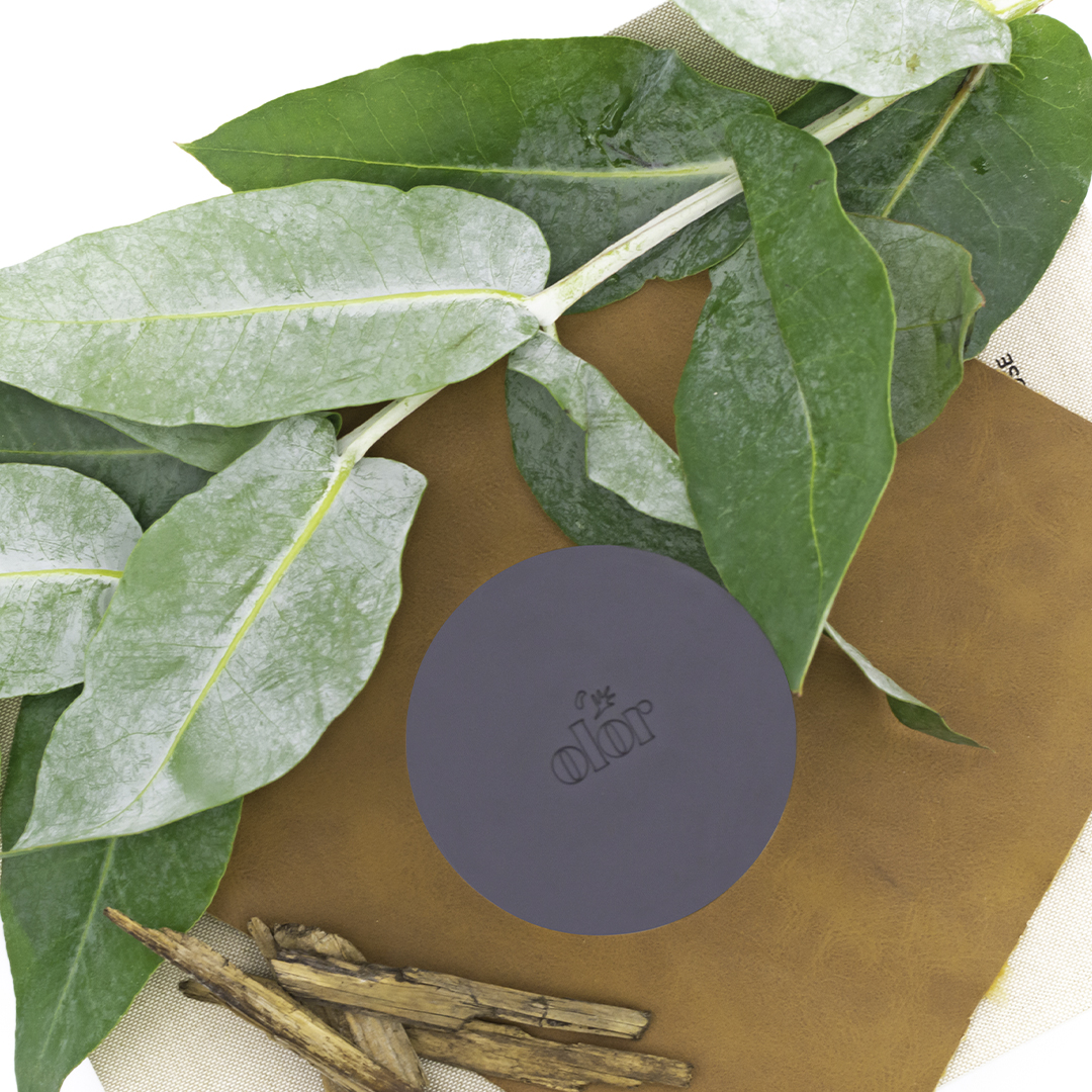 Olor Smoked Leather Mini Reed Diffuser (3)