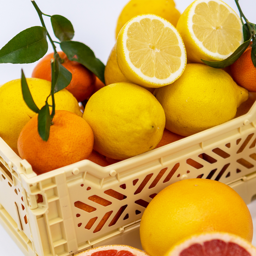 Olor Ruby Red Grapefruit Mini Reed Diffuser (4)