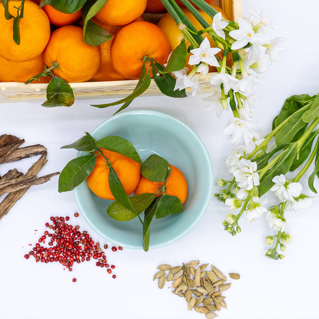 Olor Mandarin + Sandalwood Mini Reed Diffuser (3)