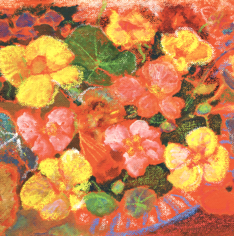 8572618-Nasturtium-for-website-1.png