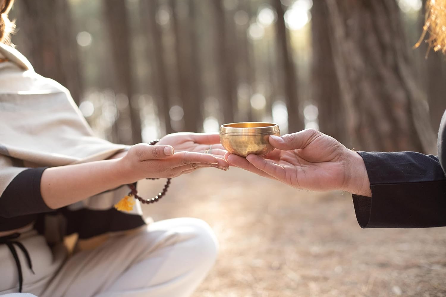 719lTObTGZL._AC_SL1500_