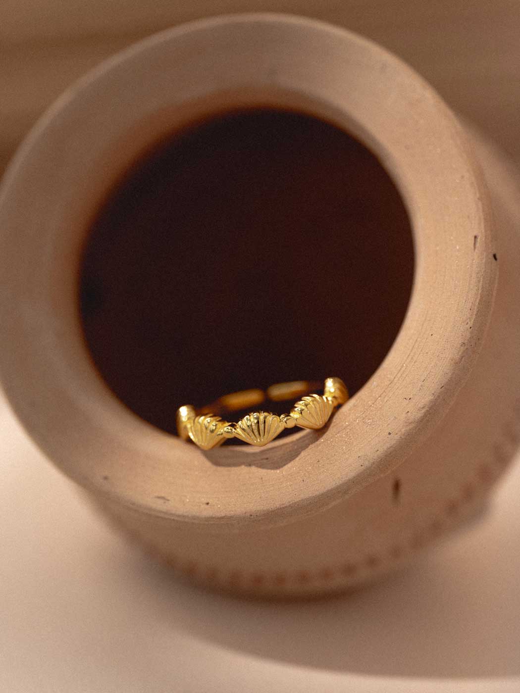 11347133-SHELL-RING-INSIDE-POT.jpg