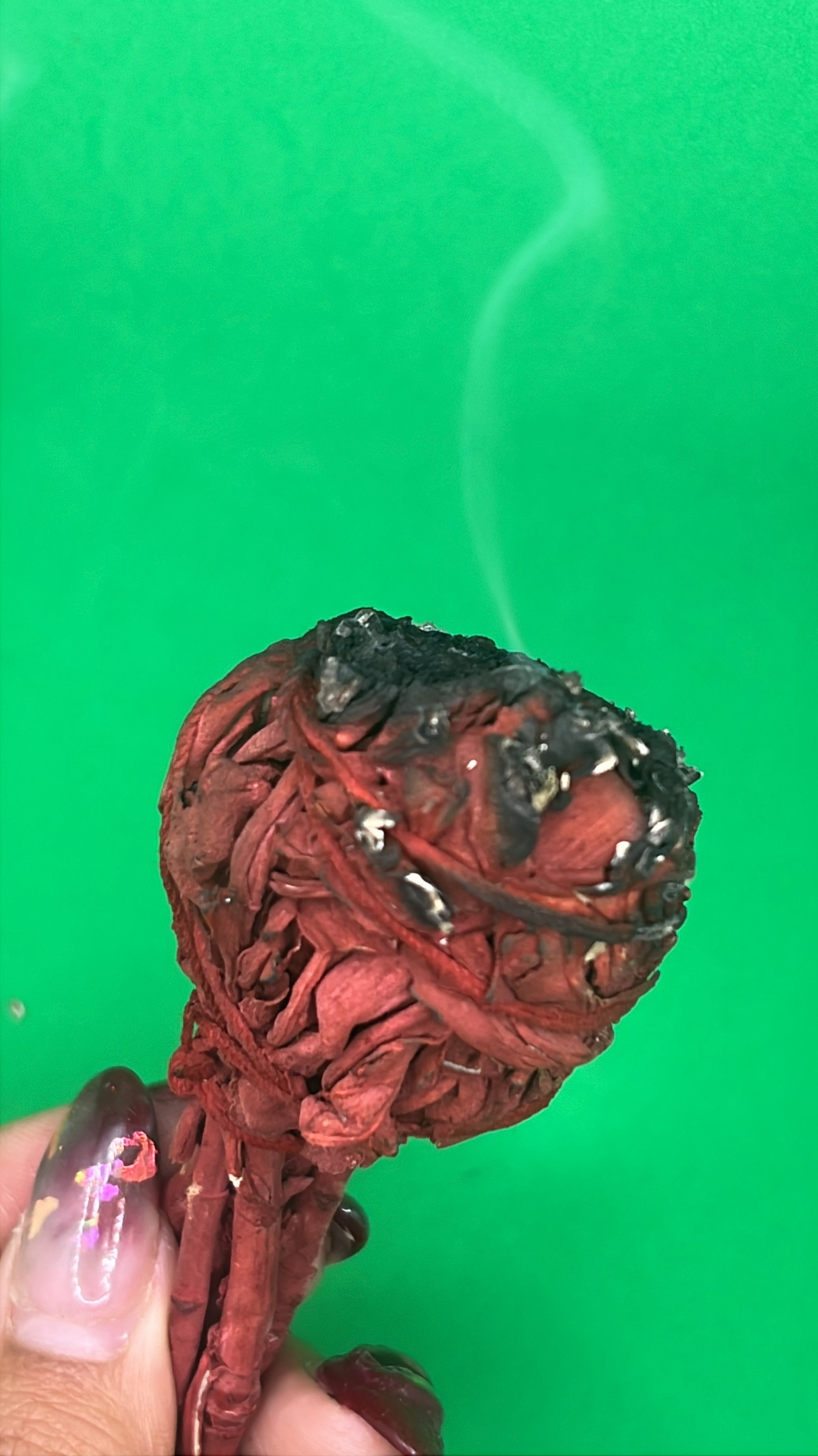 28C92CAC-F5ED-4786-90E5-7E54DCFFE768