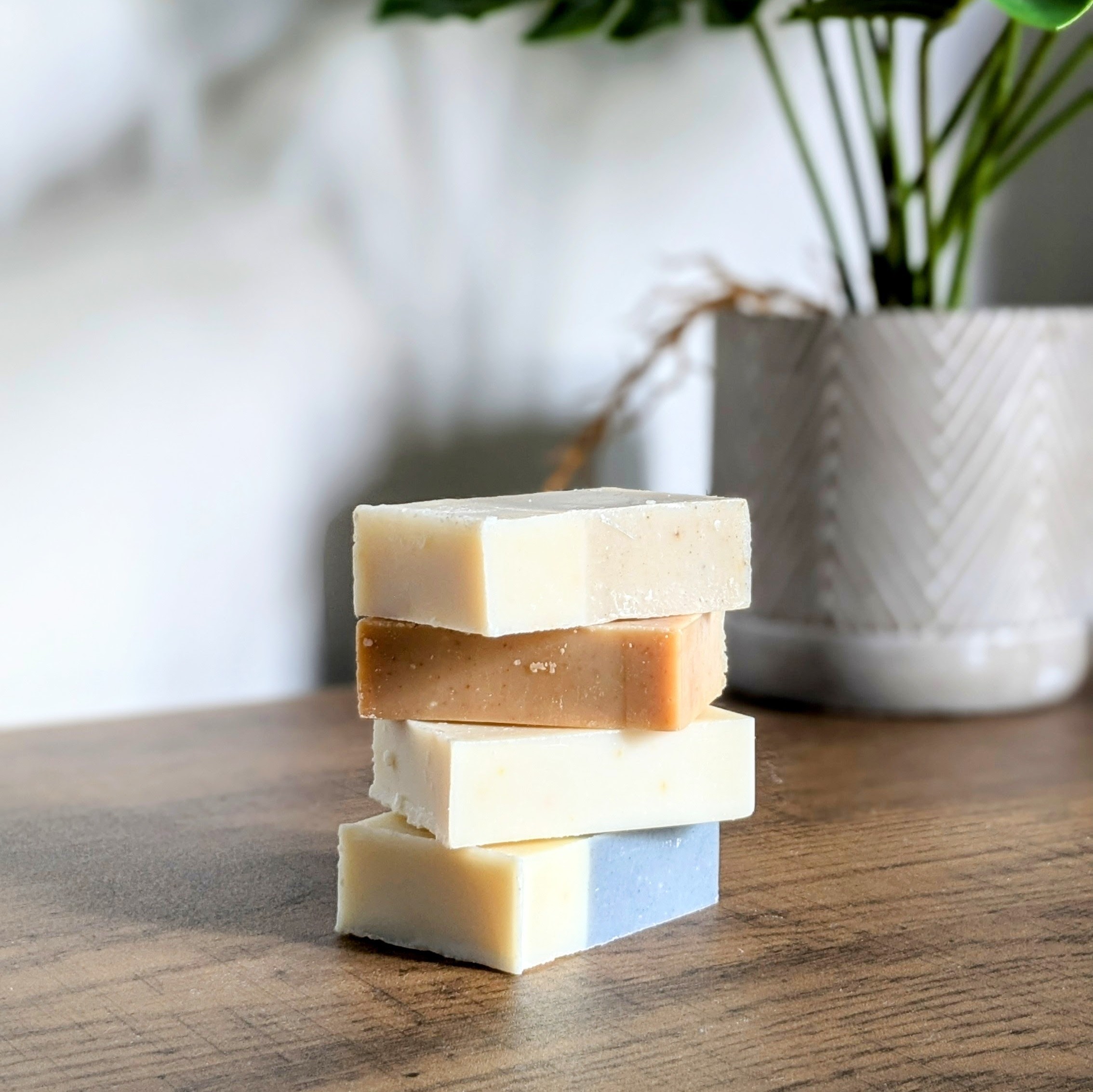 Travel Soap Set 5_2025.09