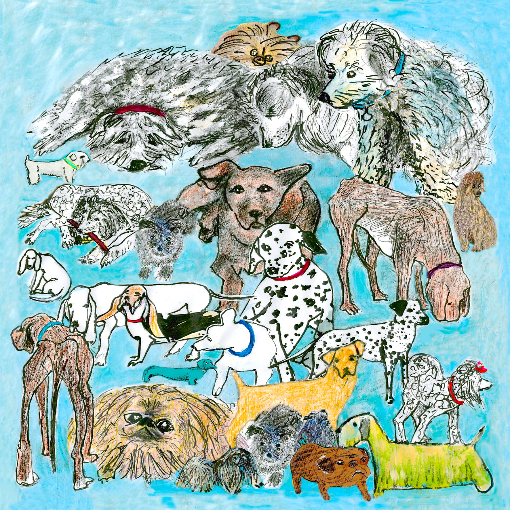 SQL024 Hand-drawn collage of many dog breeds on a turquoise background, playful and detailed, square greeting card titled We Love Dogs.