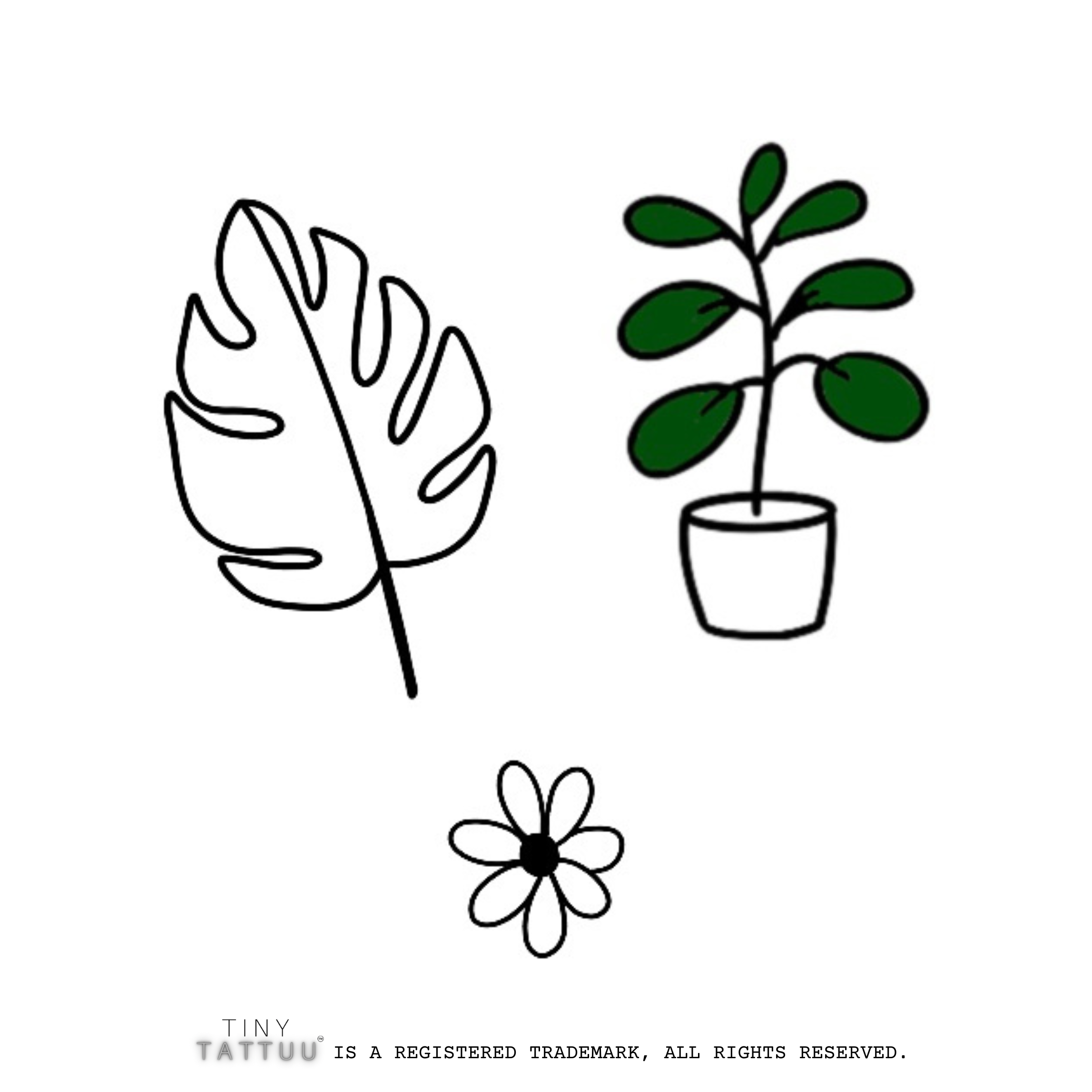 Tiny Plant Temporary Tattoos