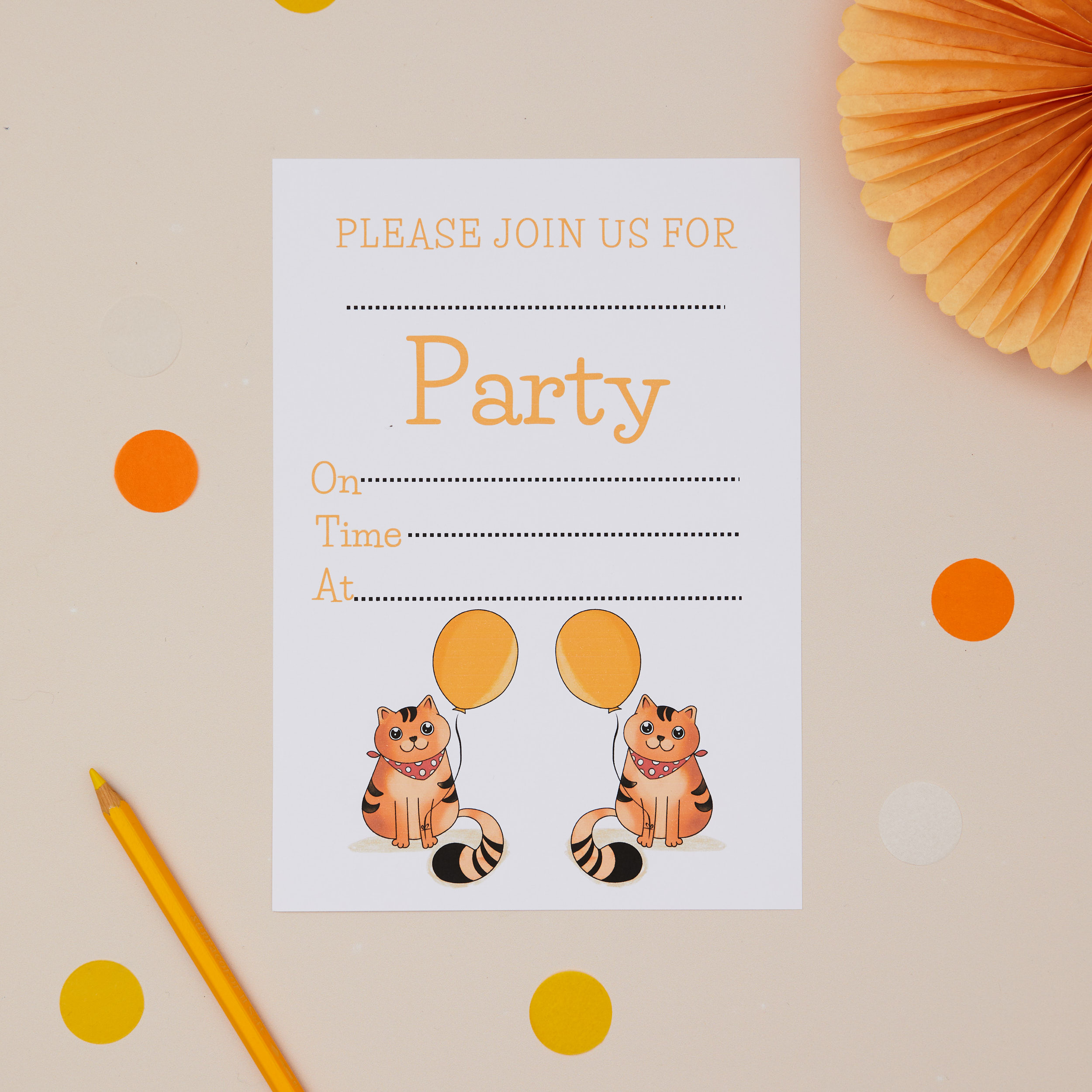 Kids Party Cat Front