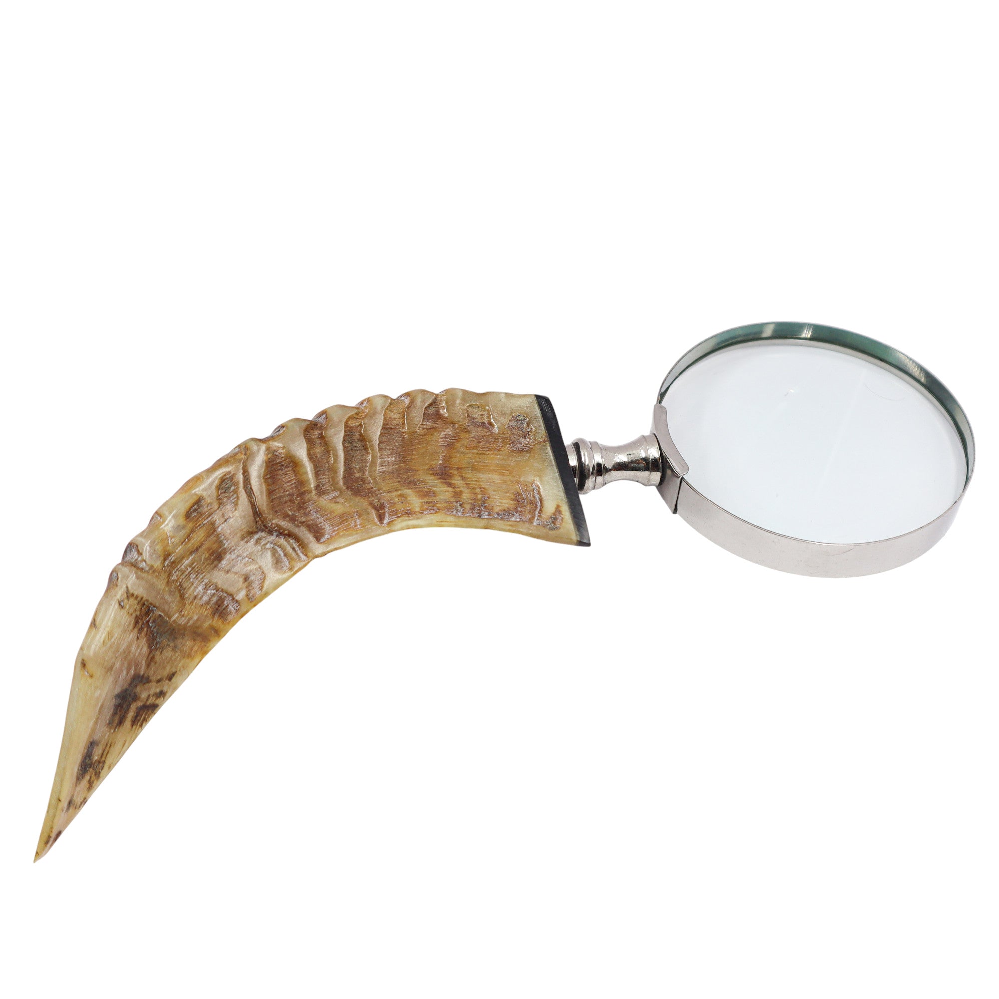 14575798-HandHeldMagnifierwithHornHandle2.jpg