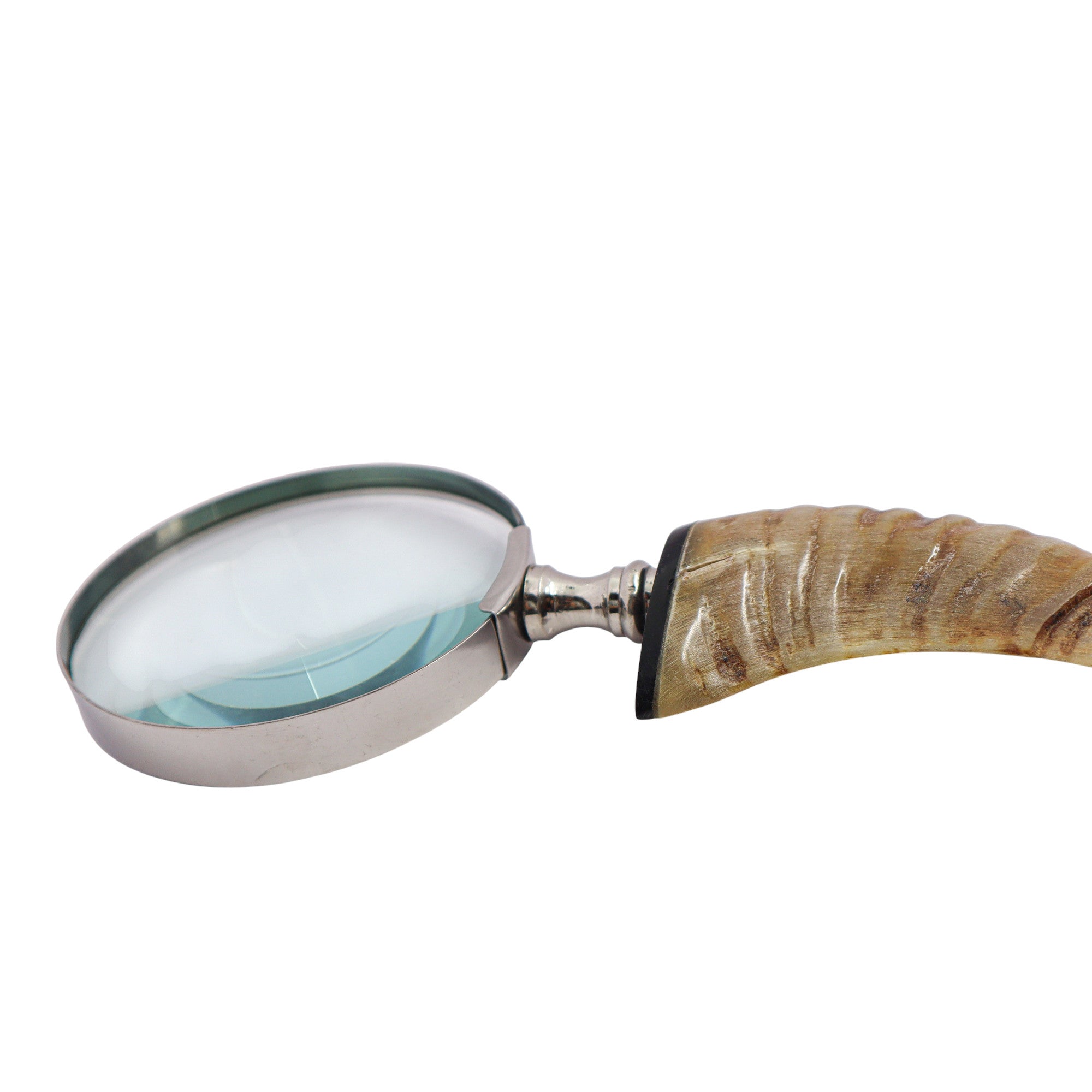 14575798-HandHeldMagnifierwithHornHandle1.jpg