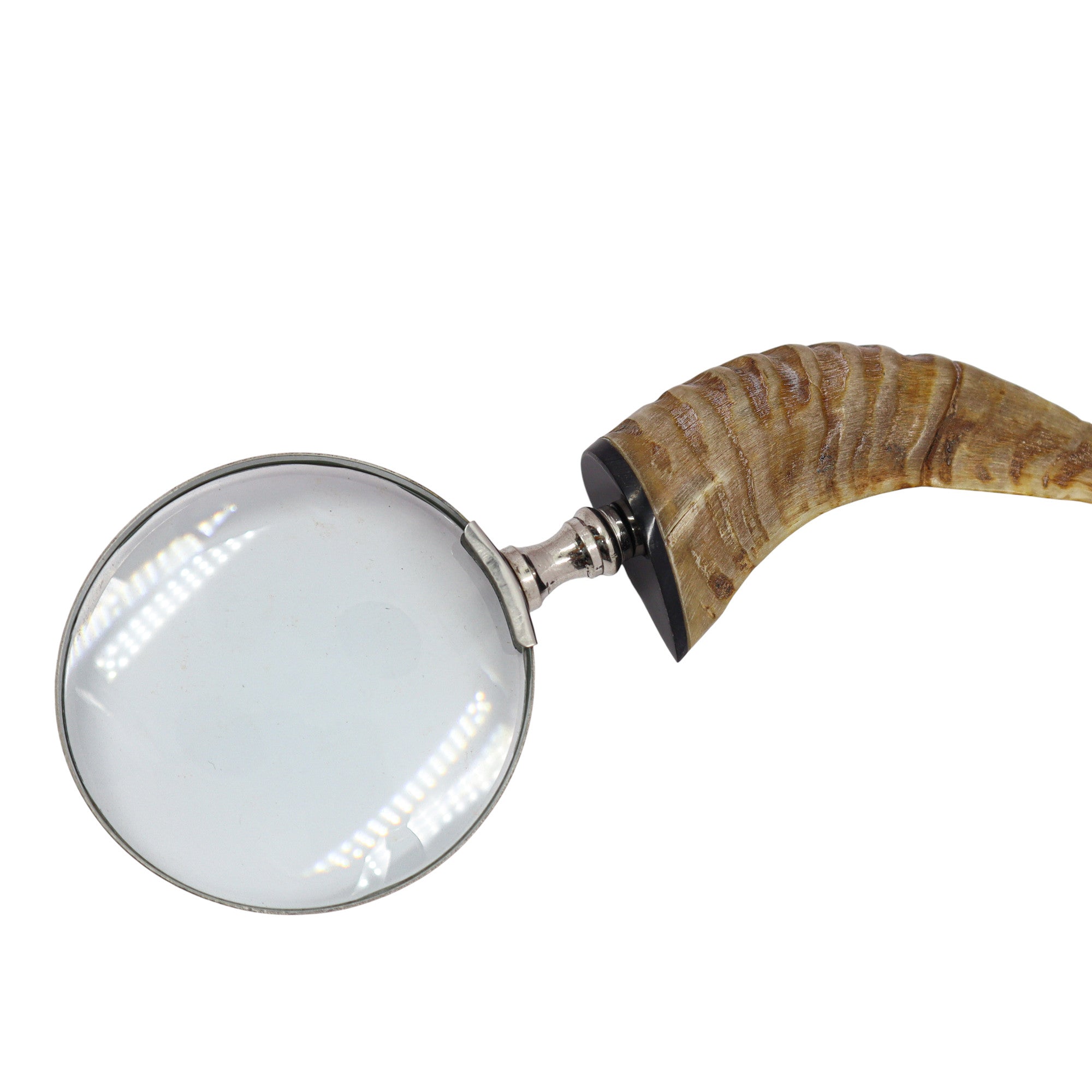 14575798-HandHeldMagnifierwithHornHandle6.jpg